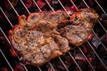 A piece of meat on the coals grill Royalty Free Stock Photo