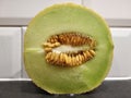 A piece of melon with seeds is on the table, cut melon white green. against the white brick wall Royalty Free Stock Photo