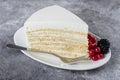 Piece of `milk girl`cake on plate with berry on concrete gray table