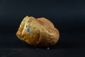 A piece of moldy bread against a black background. A stale piece of wheat loaf Royalty Free Stock Photo