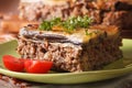 Piece of moussaka with tomatoes on a plate macro. horizontal Royalty Free Stock Photo