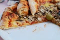 Piece of mushroom pizza on white plate Royalty Free Stock Photo