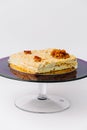 A piece of Napoleon cake on a plate Royalty Free Stock Photo