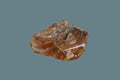 A piece of natural amber stone Royalty Free Stock Photo