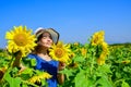 Piece of nature. cheerful child in straw hat among yellow flowers. small girl in summer sunflower field. happy childrens Royalty Free Stock Photo