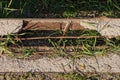 A piece of an old broken concrete pillar with rusty brown iron bars Royalty Free Stock Photo