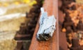 Piece of old wood on the rusty railroad, closeup