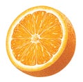 Piece of Orange