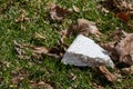 Piece of packaging foam littered on the ground