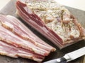 Piece of Pancetta and Slices Royalty Free Stock Photo