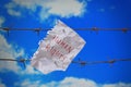 Piece of paper with human rights text on barbed wire on sky background Royalty Free Stock Photo