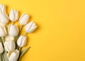 a piece of paper and white tulips on a yellow background, an isolated background,