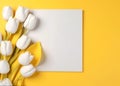 a piece of paper and white tulips on a yellow background, an isolated background