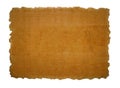 Piece of papyrus texture