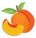 Piece Of Peach, Illustration, Vector