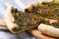 Piece of pie with green stuffed spinach, eggs and cheese Royalty Free Stock Photo