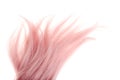 Piece of pink hair isolated Royalty Free Stock Photo