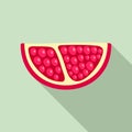 Piece of pomegranate icon, flat style