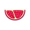 Piece of pomegranate icon, flat style