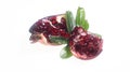 Piece of pomegranate and leaf isolated on a white background Royalty Free Stock Photo