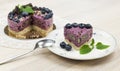 The piece of raw blueberry cake on the light wooden surfac