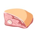 Piece of raw pork