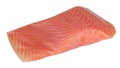 Piece of red fish fillet isolated Royalty Free Stock Photo