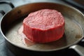 A piece of red meat is sitting in a pan on a stove