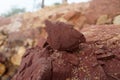 A piece of red shale sedimentary rock on nature background. Royalty Free Stock Photo