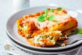 Piece of ricotta and spinach cannelloni on a gray plate. Italian food concept Royalty Free Stock Photo