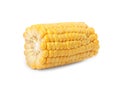 Piece of ripe raw corn cob isolated on white Royalty Free Stock Photo