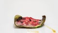 Piece of ripe watermelon rots on white background, time lapse, educational cognitive video
