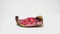 Piece of ripe watermelon rots on white background, time lapse, educational cognitive video