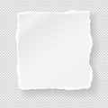 Piece of ripped white paper strip with torn edges and soft shadow for text are on squared background. Vector illustration Royalty Free Stock Photo