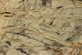 A beautiful textured piece of rock as a background or texture