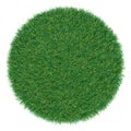 Piece of round shape grass isolated as background Royalty Free Stock Photo