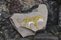 Piece of Ruins with a tiger drawing of the ancient temple of a pre-Hispanic society on the hill of El Tepozteco in TepoztlÃÂ¡n Mexi Royalty Free Stock Photo