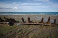 Piece of rusty metal remains from ship on coast of Atlantic Ocean near Puerto Madryn, Chubut, Patagonia