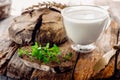 A piece of rye bread with a bunch of thyme and a glass glass of fresh milk on a wooden stand. Farmer`s early Breakfast