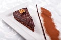 Piece of sacher chocolate cake, cocoa biscuit with walnut filling and dark chocolate icing served on a plate.