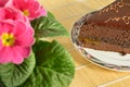 Chocolate cake Sacher Torte and pink flowers Royalty Free Stock Photo