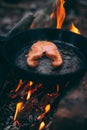 A piece of salmon in a pan over a fire. Cooking in nature. Grilled fish Royalty Free Stock Photo