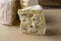 Piece of sliced French Bresse Bleu on a cutting board close up