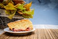 A piece of sponge cake bread on a straw bedding on a background