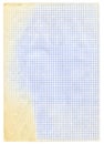 Piece of squared paper on white Royalty Free Stock Photo