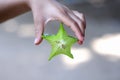 Piece of star fruit carambola or averrhoa carambola in asian girl child hand background