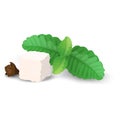 A piece of sugar, mint leaves and cloves close-up isolated on white background. Vector illustration.