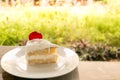 A piece of coconut cake on white plate with green garden background Royalty Free Stock Photo