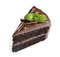 Piece of tasty homemade chocolate cake with mint Royalty Free Stock Photo