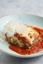 Piece of tasty hot lasagna Royalty Free Stock Photo